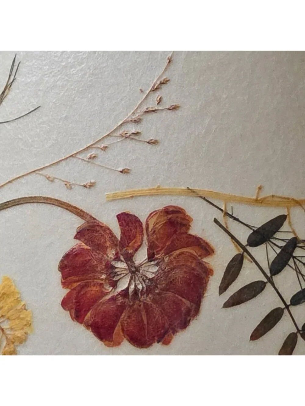 Vtg Van Briggle Style Botanical Lamp Shade Real Pressed Flowers w Butterfly 10